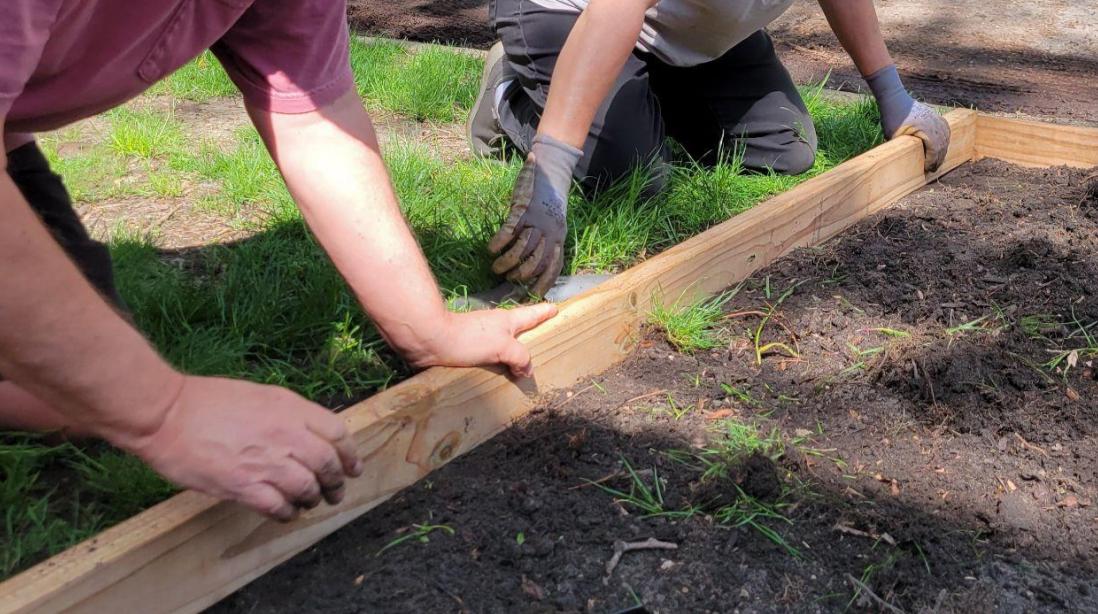 Make Garden Borders & Edging