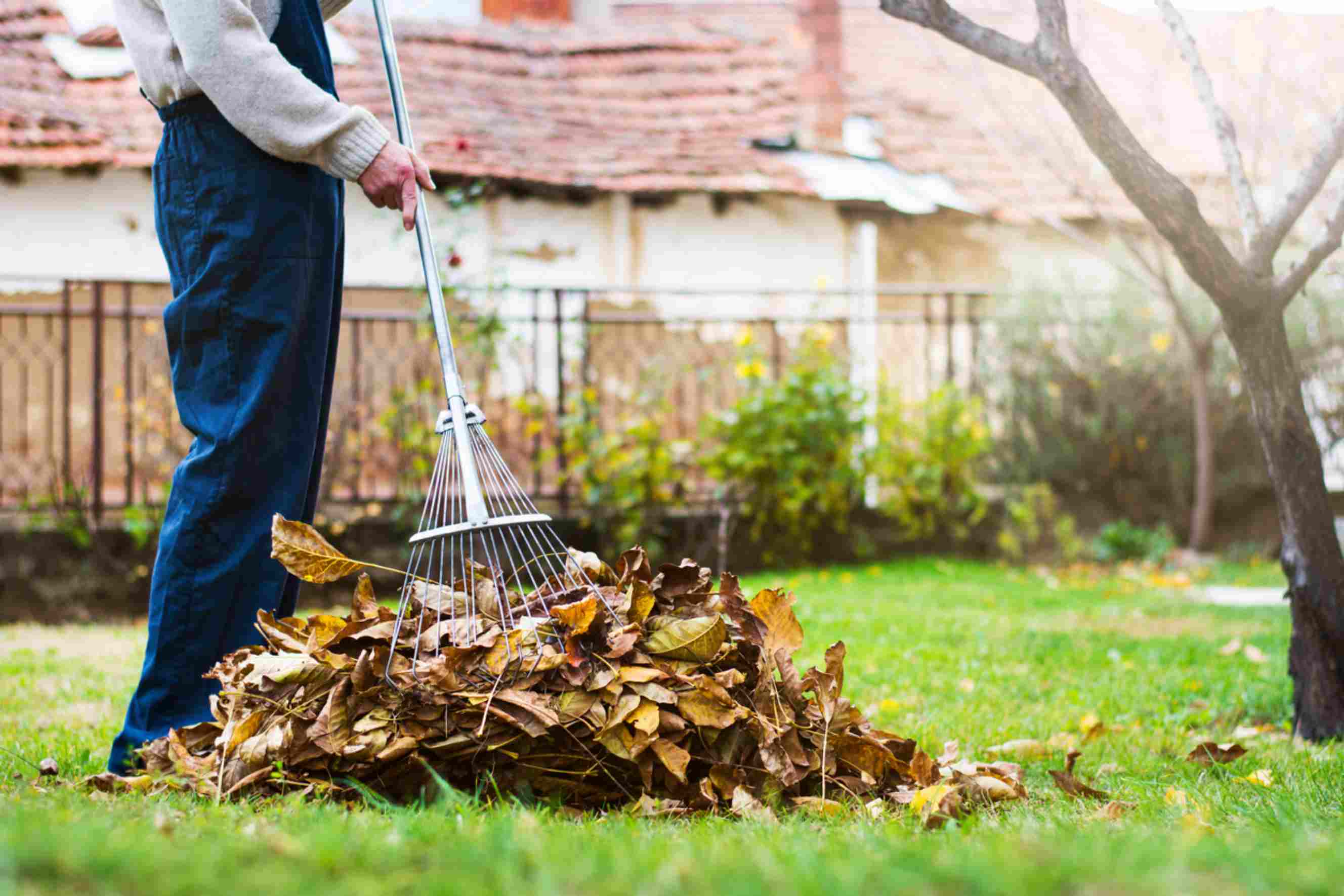 Big Garden Clean Up