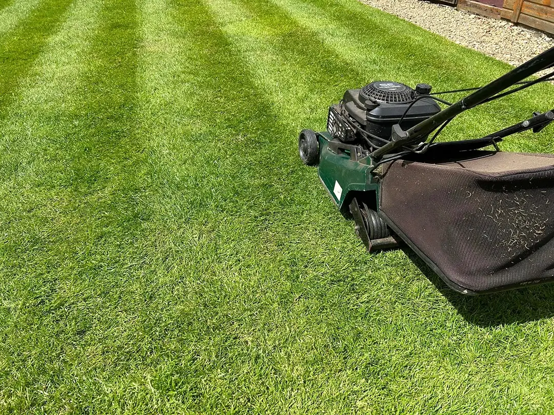 Grass Cutting